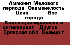 Аммонит Мелового периода. Окаменелость. › Цена ­ 2 800 - Все города Коллекционирование и антиквариат » Другое   . Брянская обл.,Сельцо г.